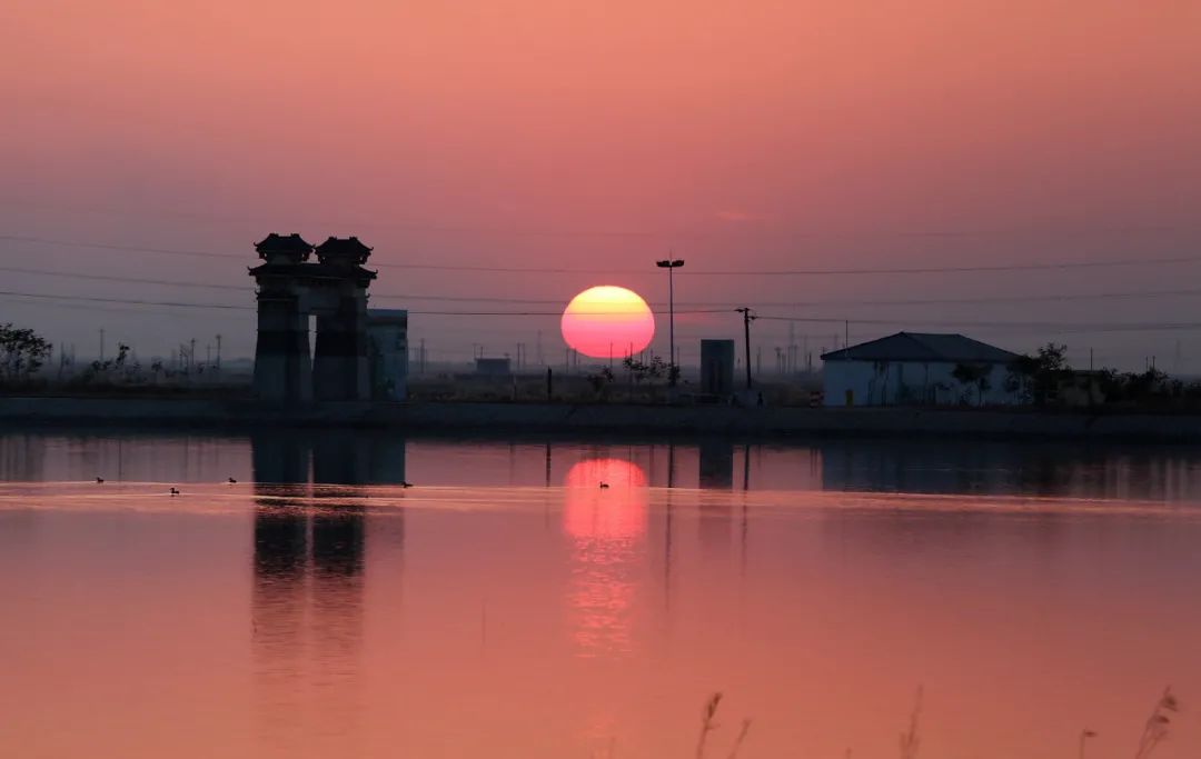 深秋的无棣有一种红叫红海滩，映红半边天