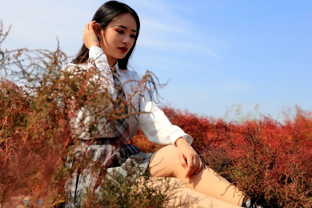 深秋的无棣有一种红叫红海滩，映红半边天