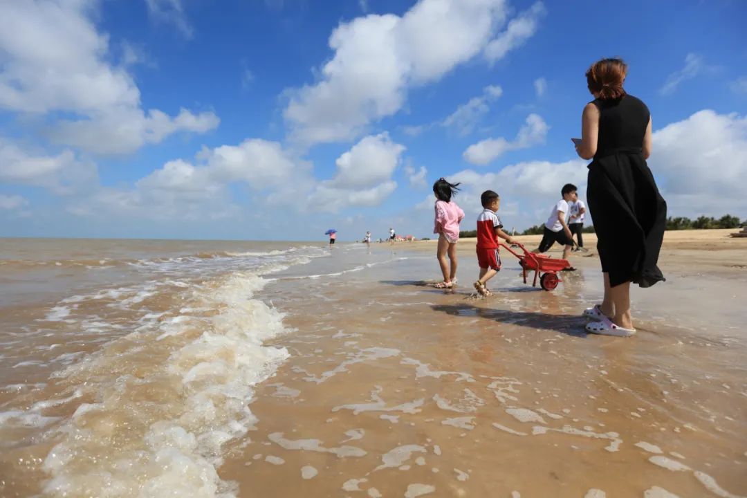 深秋的无棣有一种红叫红海滩，映红半边天