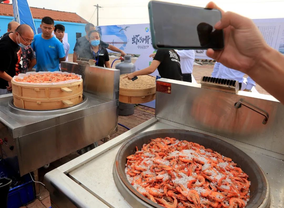 深秋的无棣有一种红叫红海滩，映红半边天