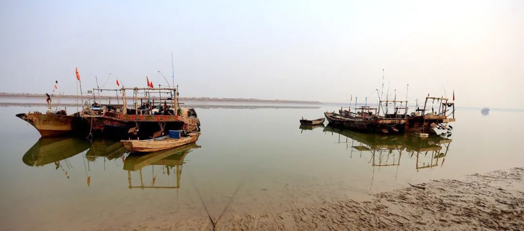 深秋的无棣有一种红叫红海滩，映红半边天