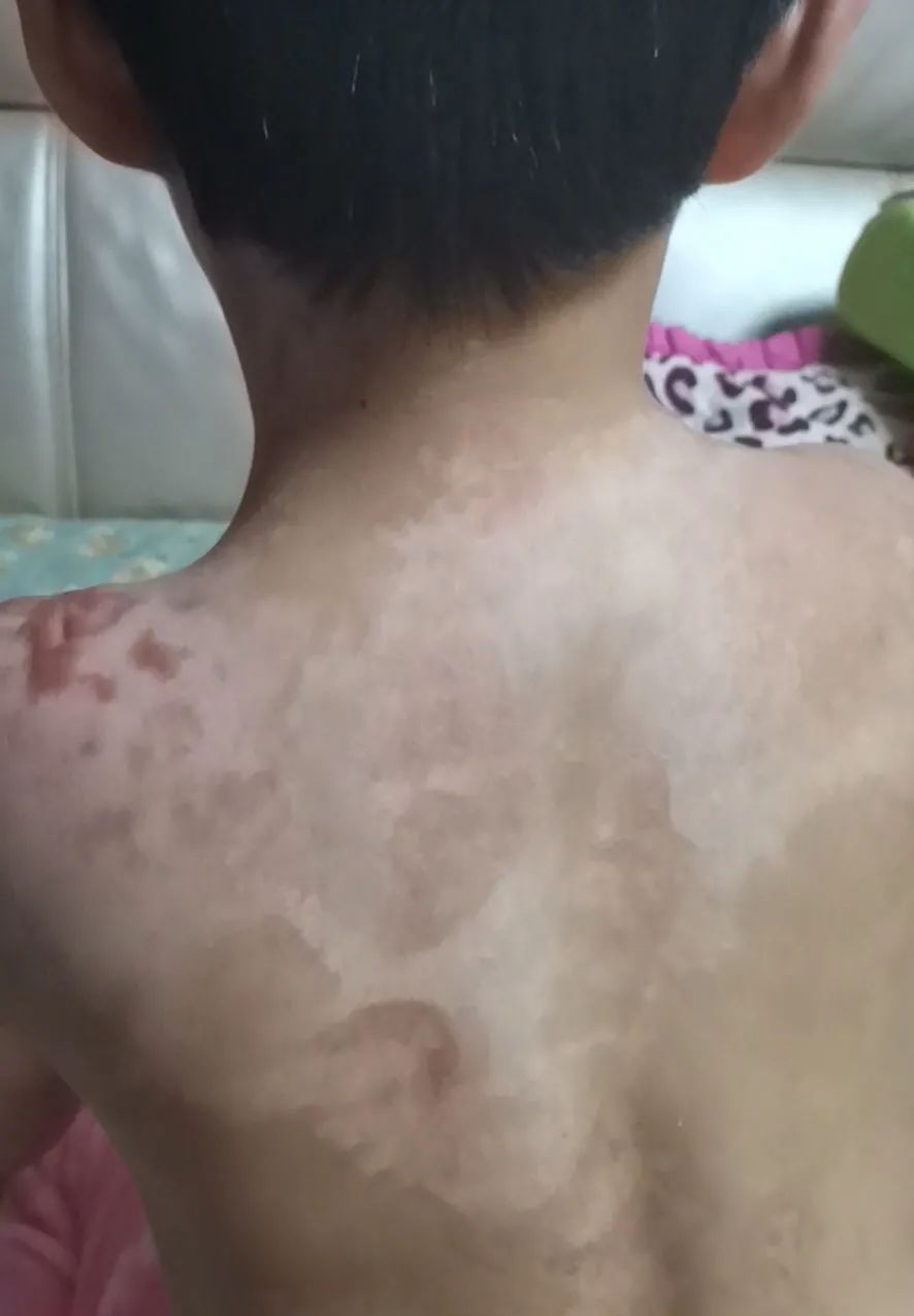 自动草稿