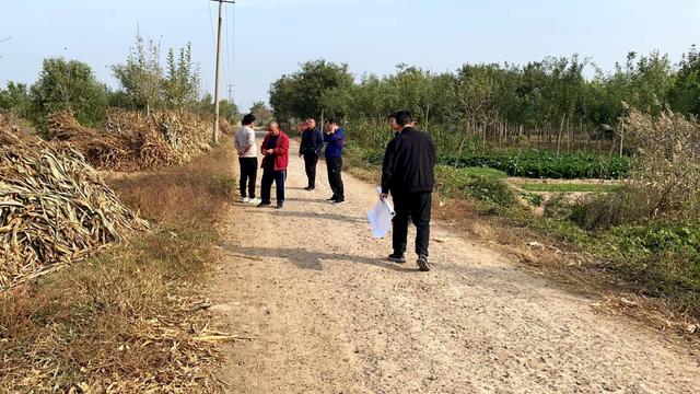 善生态环境，提高土壤肥力，无棣县高标准农田建设项目顺利推进