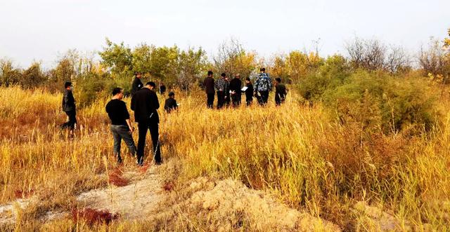 善生态环境，提高土壤肥力，无棣县高标准农田建设项目顺利推进
