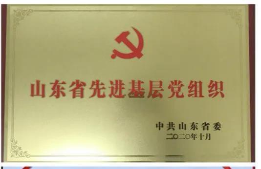 喜报！无棣县棣丰街道党工委荣获“山东省抗击新冠肺炎疫情先进集体”“山东省先进基层党组织”