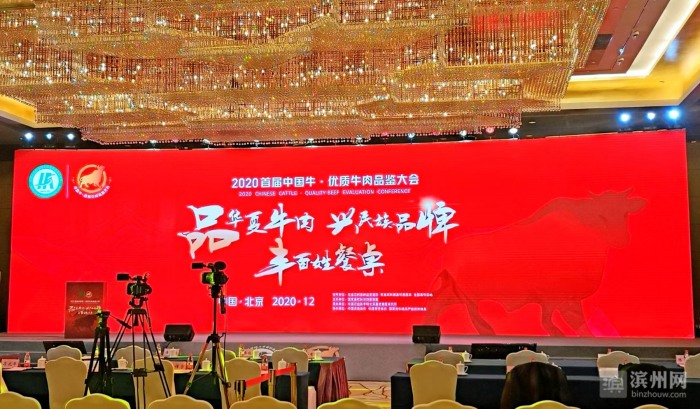 牛!无棣渤海黑牛在首届中国牛•优质牛肉品鉴大会上夺冠 牛!无棣渤海黑牛在首届中国牛•优质牛肉品鉴大会上夺冠