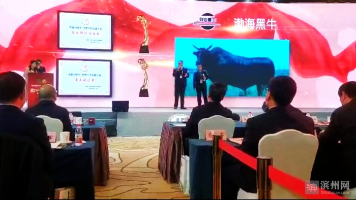 牛!无棣渤海黑牛在首届中国牛•优质牛肉品鉴大会上夺冠 牛!无棣渤海黑牛在首届中国牛•优质牛肉品鉴大会上夺冠