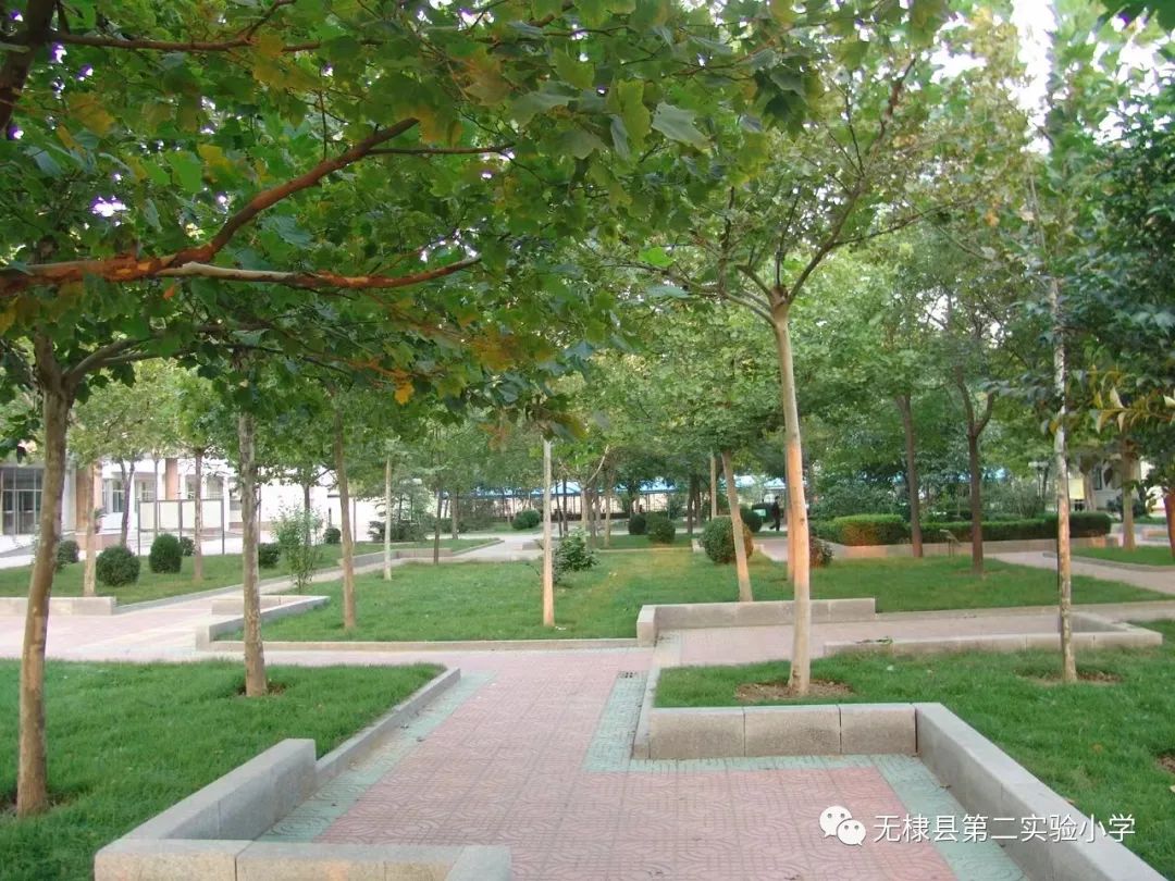 2022年无棣县第二实验小学一年级新生招生明白纸 2022年无棣县第二实验小学一年级新生招生明白纸