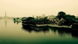 浅冬无棣古城赏残荷