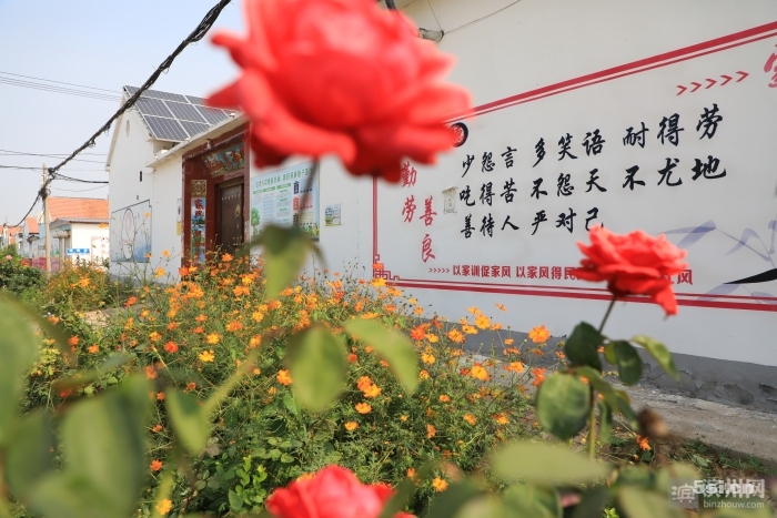 无棣摄影家协会用光影艺术记录丰收盛景