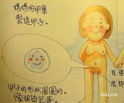 孩子问“我是从哪里来的”，你是怎样回答的呢？