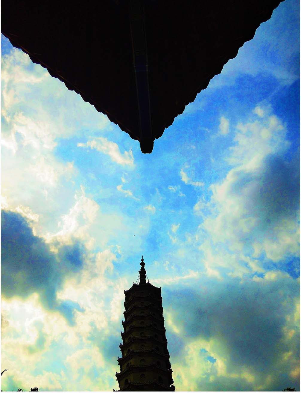 山东相册｜山东无棣：诗画古城 美不胜收