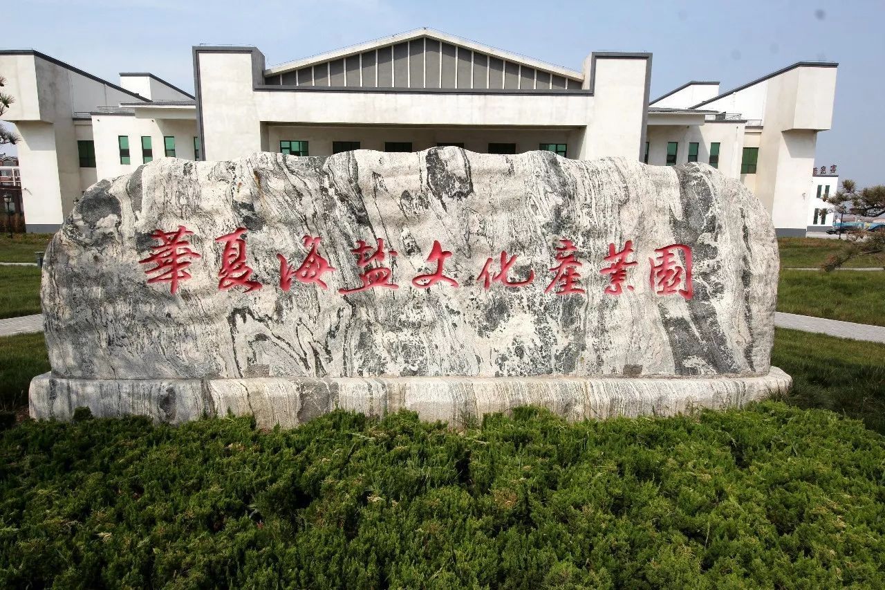 【晚报三十年，精彩看齐鲁】“小白菜”卖出“黄金价” ——看滨州无棣如何打造文化产业硬实力