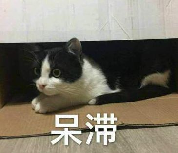 中华烟哭了！小村子造假烟20年，连正品都来抄袭！